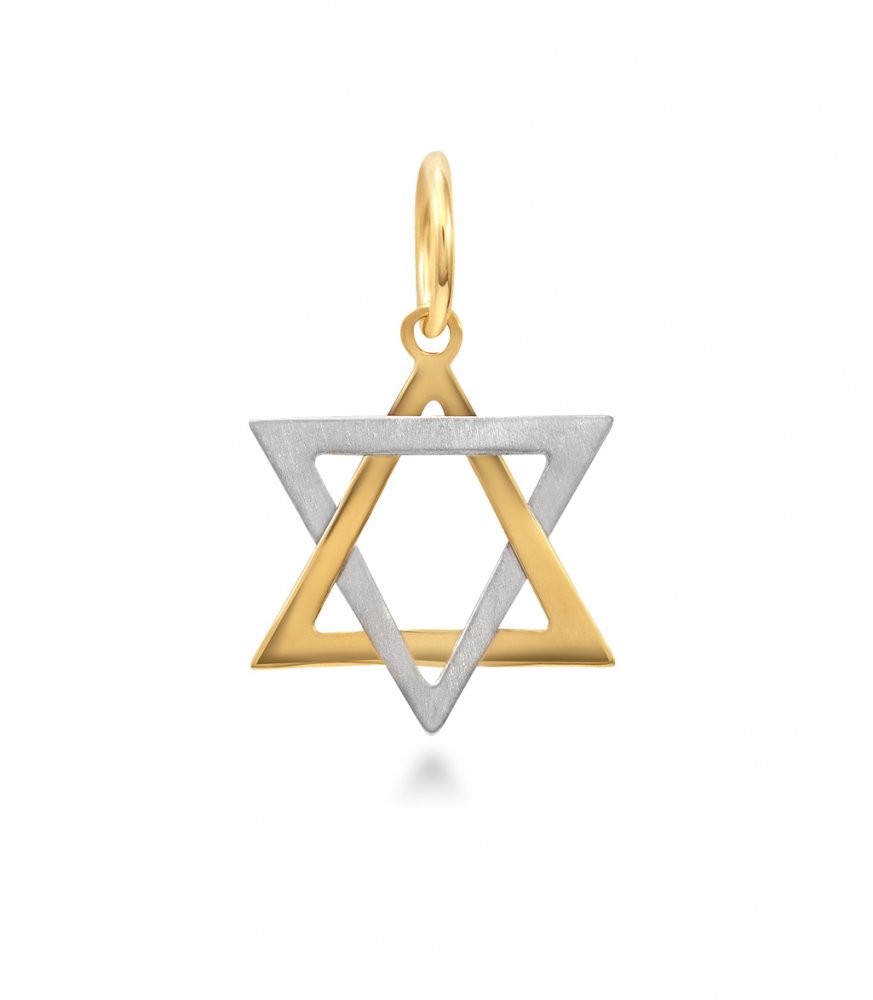 Pingente em ouro amarelo e ouro branco estrela de davi